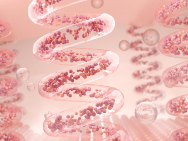 Elastin and Collagen under skin. Cosmetic and Skin treatment concept. 3D rendering